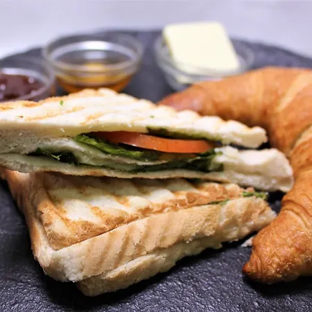 Hedera A11 두브로브니크